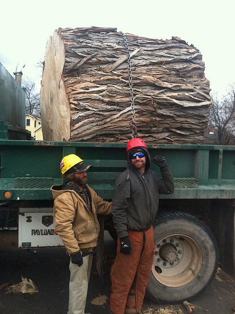 Cutting down the hazard willow